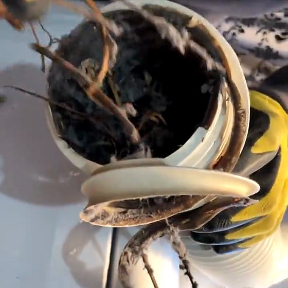 Pulling Lint Out of a Dryer Vent