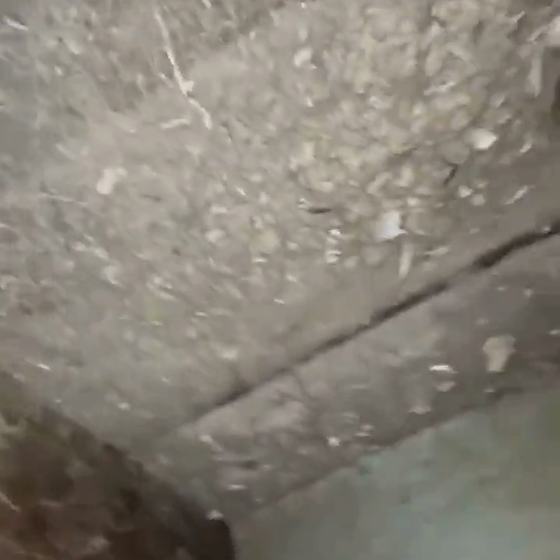 What’s Hiding Inside Your Vents?